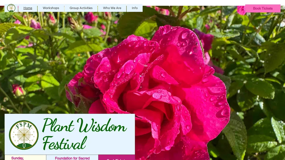 Homepage snapshot at launch