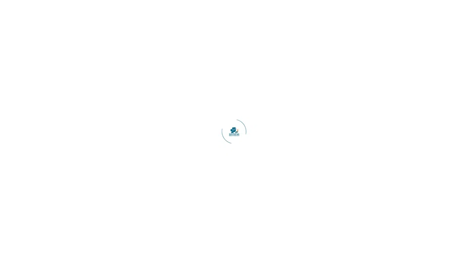 Homepage snapshot at launch