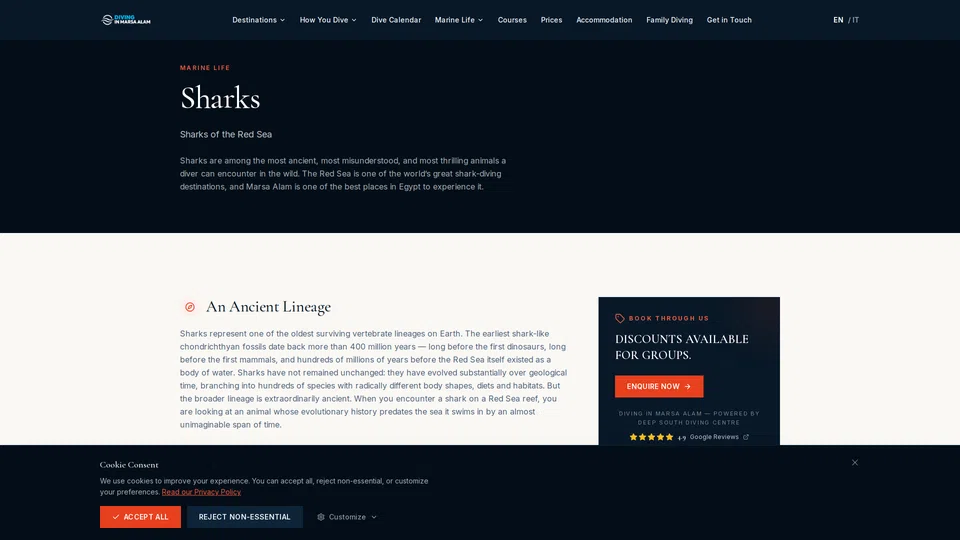 Homepage snapshot at launch