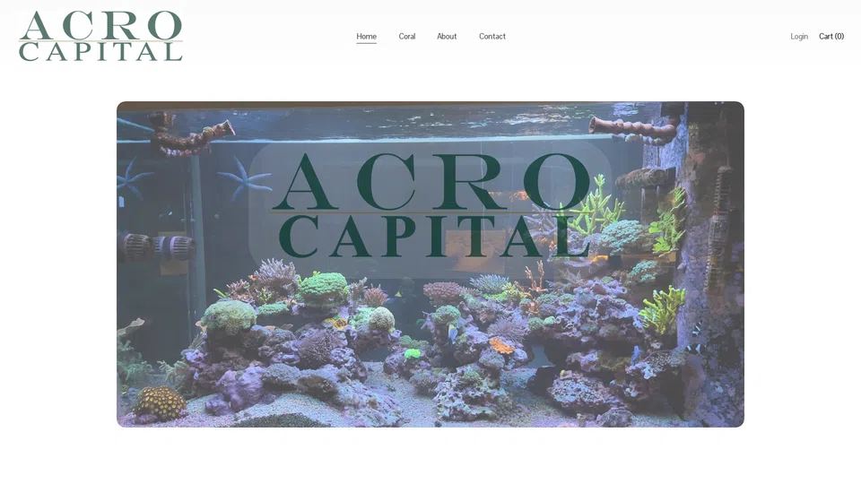 Homepage snapshot at launch