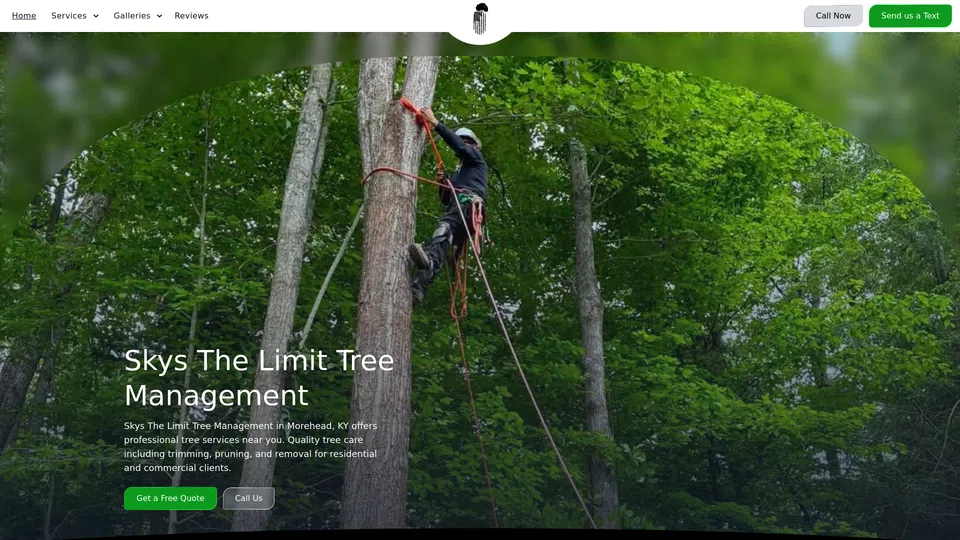 Homepage snapshot at launch