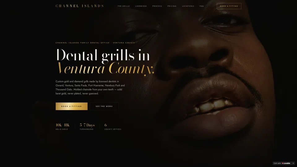 Homepage snapshot at launch