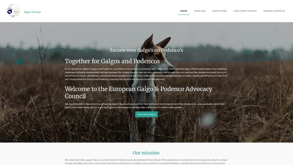 Homepage snapshot at launch