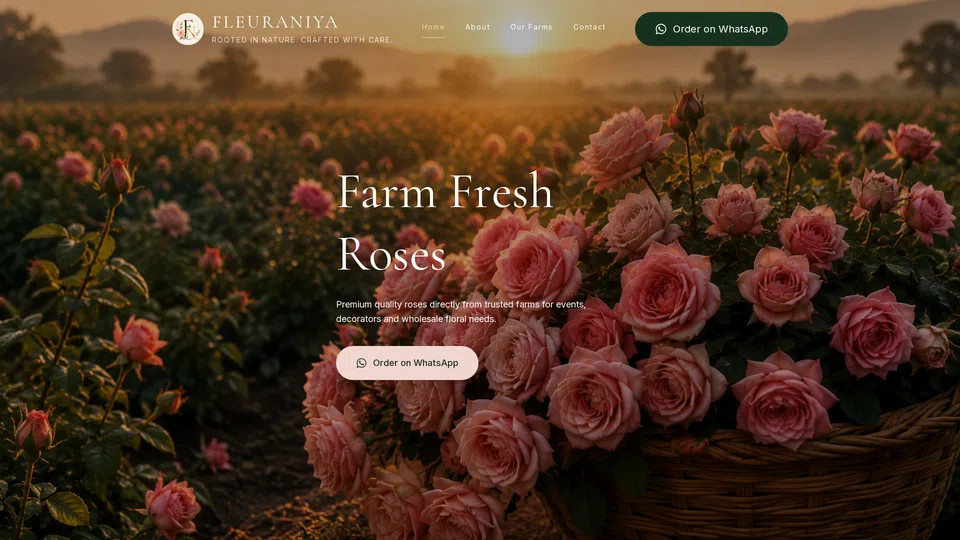 Homepage snapshot at launch