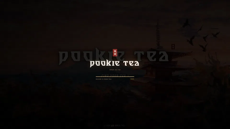 Homepage snapshot at launch