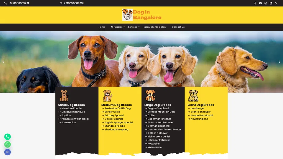 Homepage snapshot at launch