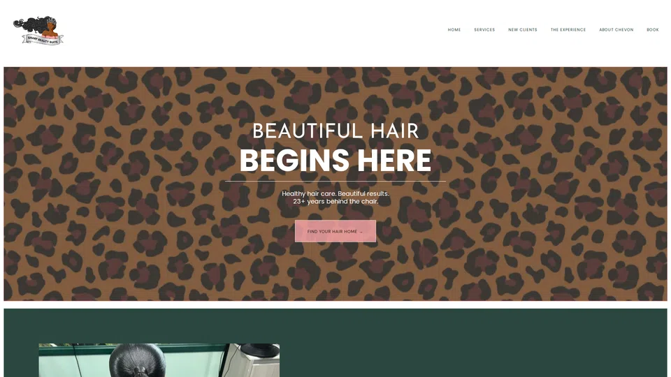 Homepage snapshot at launch