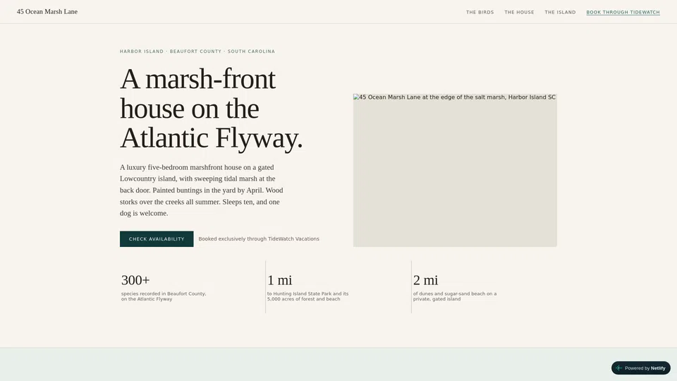 Homepage snapshot at launch