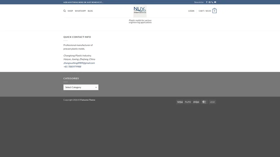 Homepage snapshot at launch