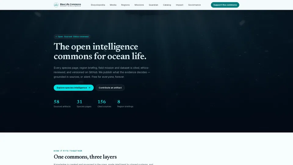 Homepage snapshot at launch