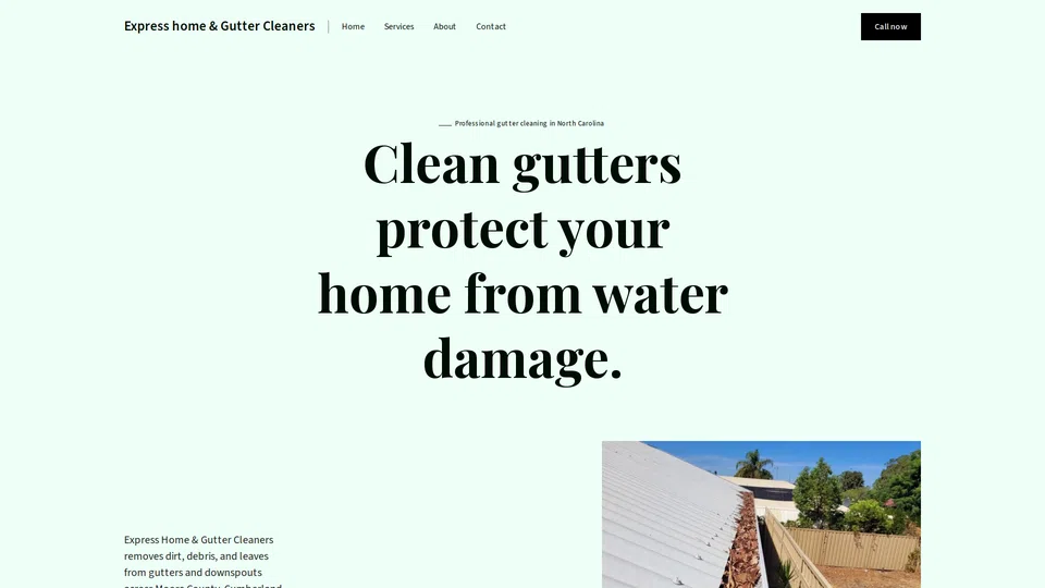 Homepage snapshot at launch