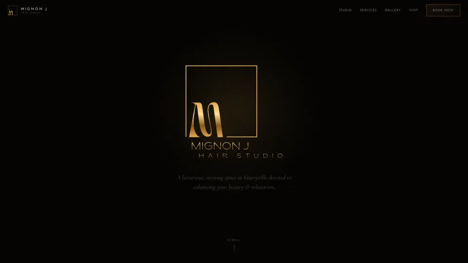 Homepage snapshot at launch