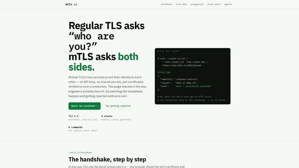 Homepage snapshot at launch
