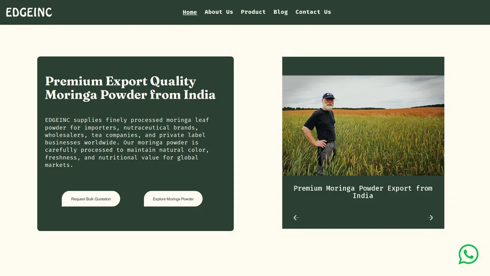 Homepage snapshot at launch