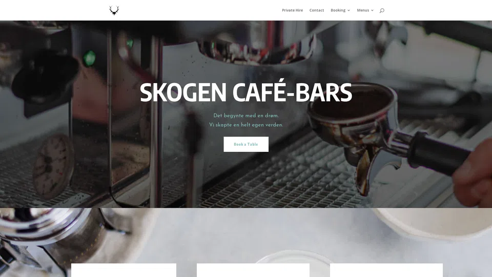 Homepage snapshot at launch