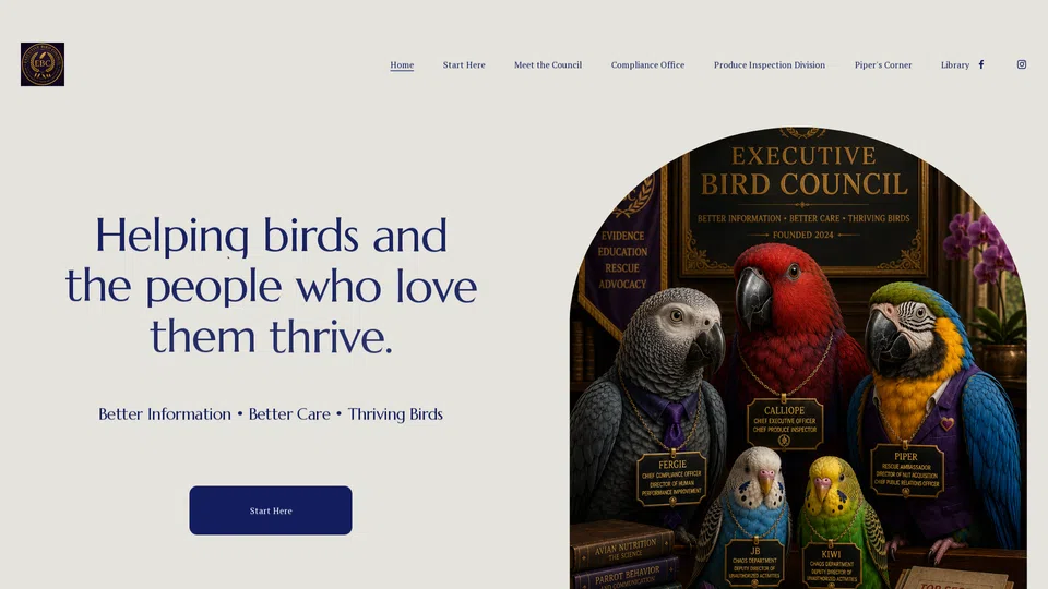 Homepage snapshot at launch