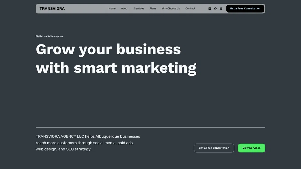 Homepage snapshot at launch