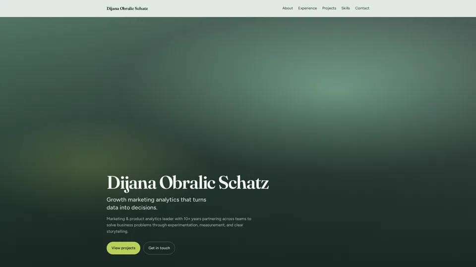 Homepage snapshot at launch
