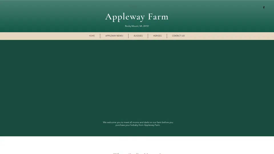 Homepage snapshot at launch