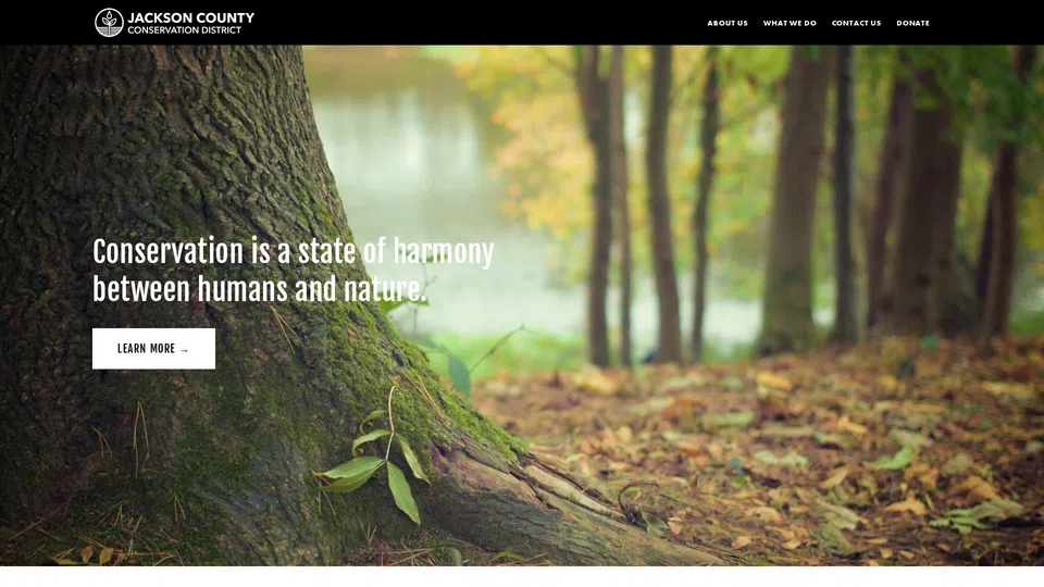 Homepage snapshot at launch