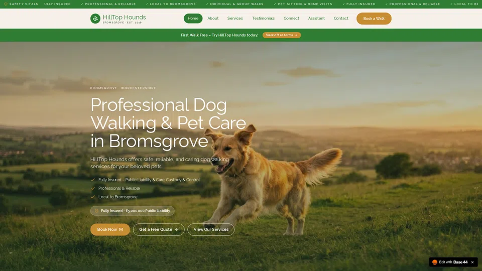 Homepage snapshot at launch