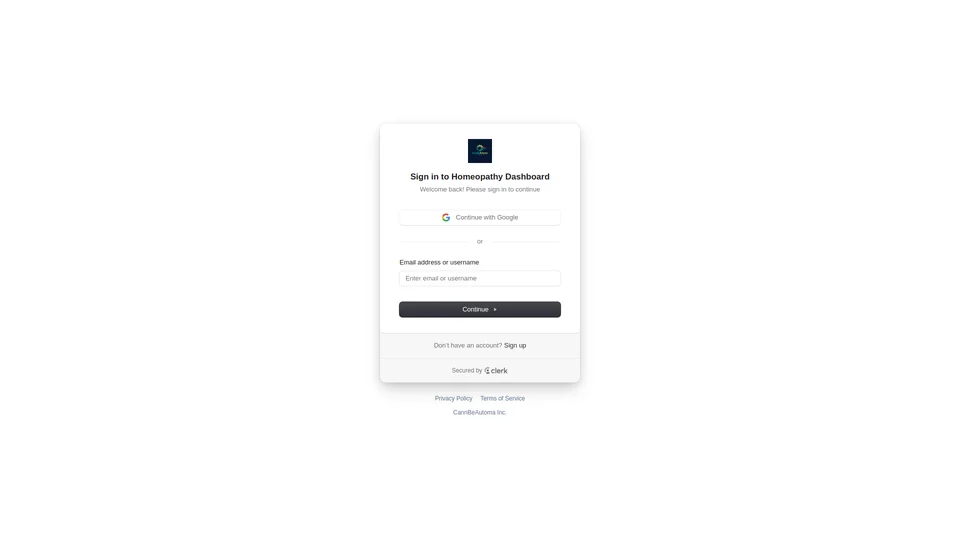 Homepage snapshot at launch