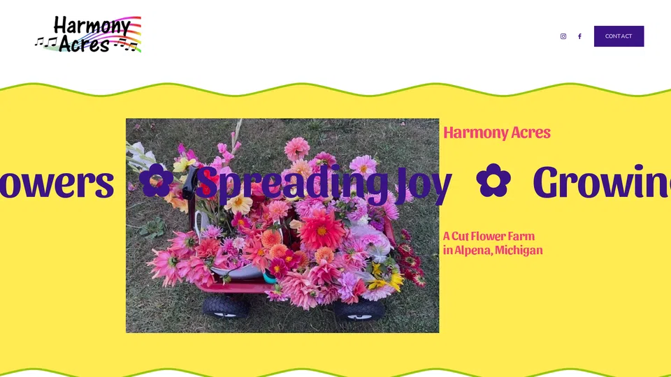 Homepage snapshot at launch