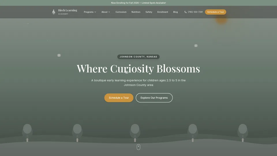 Homepage snapshot at launch