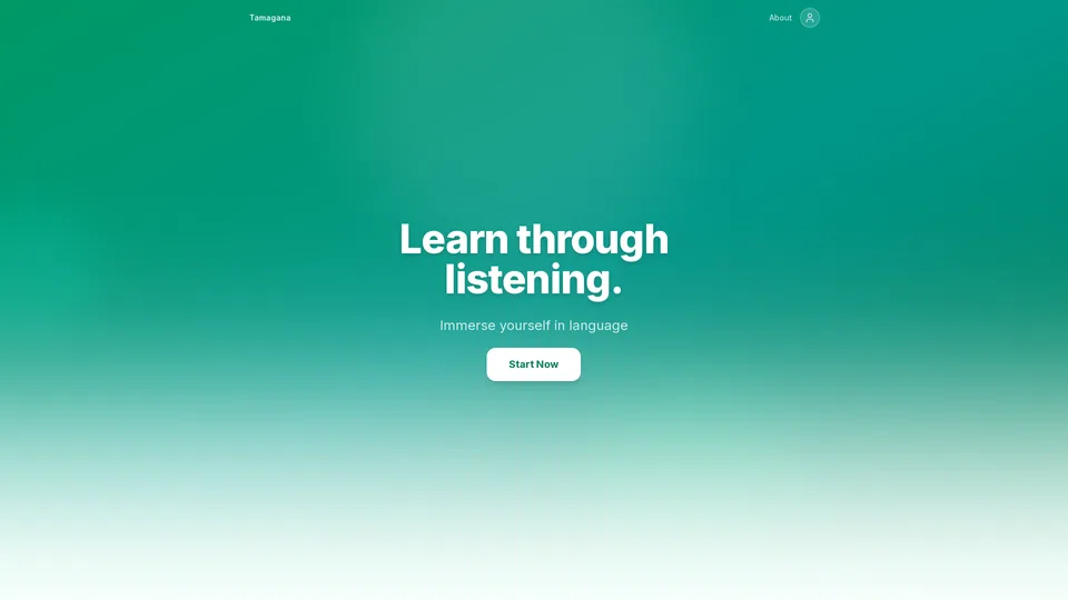 Homepage snapshot at launch