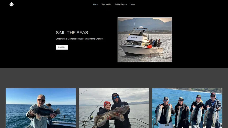 Homepage snapshot at launch