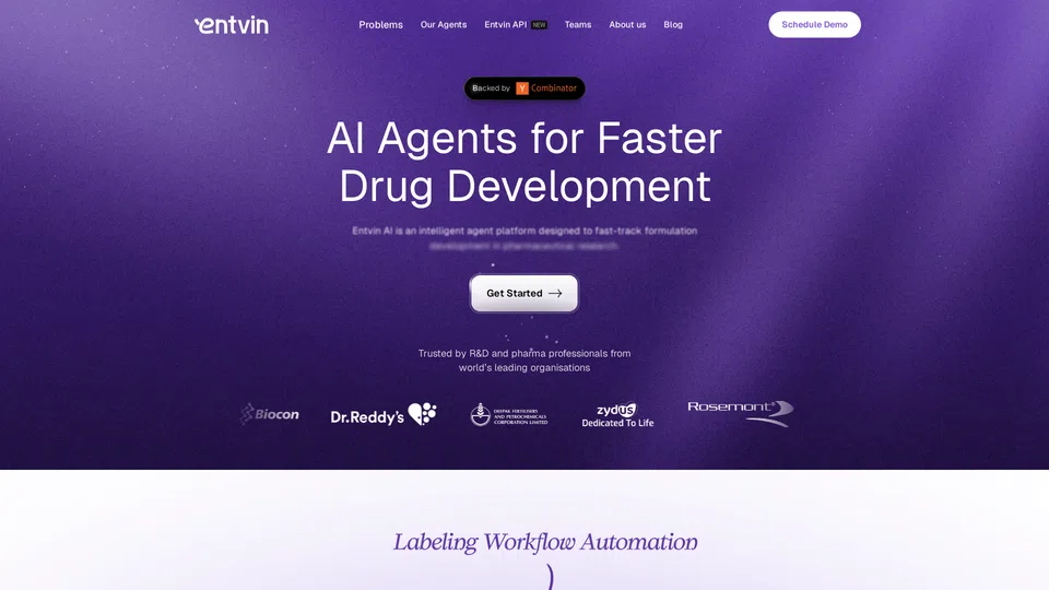 Homepage snapshot at launch