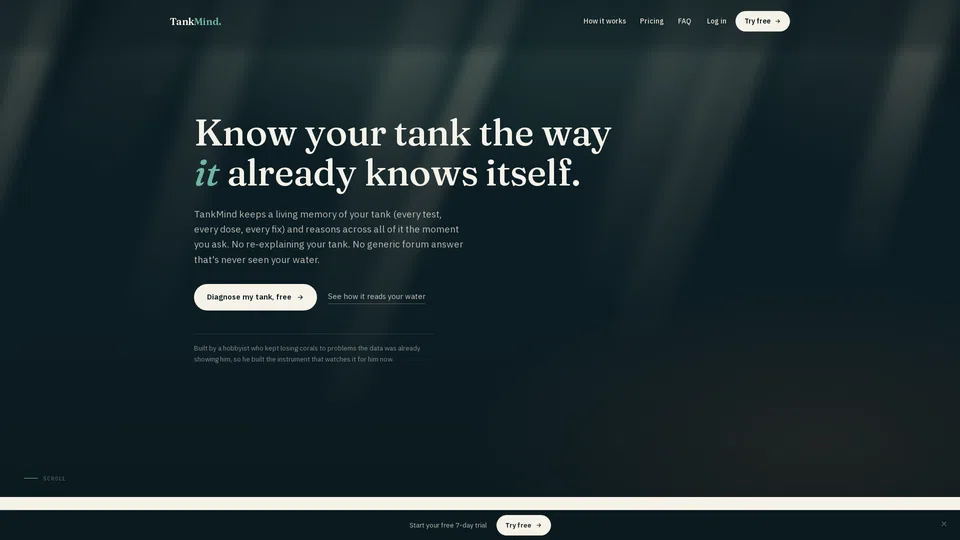 Homepage snapshot at launch