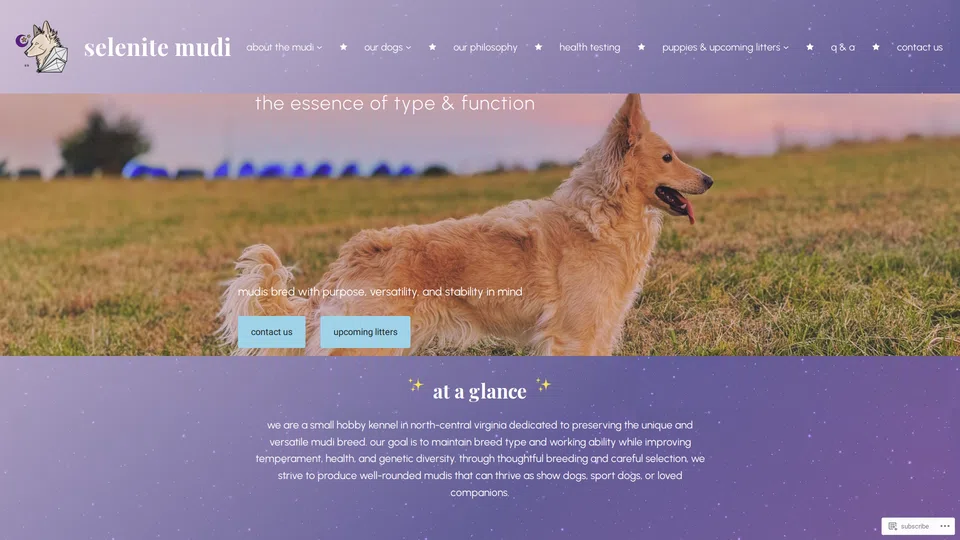 Homepage snapshot at launch