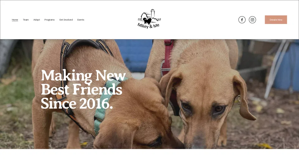 Homepage snapshot at launch