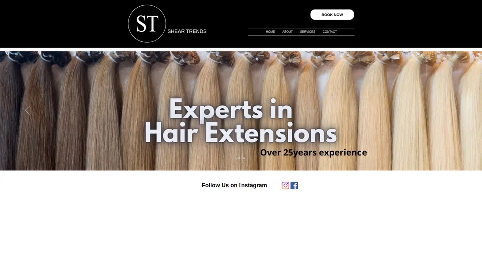 Homepage snapshot at launch