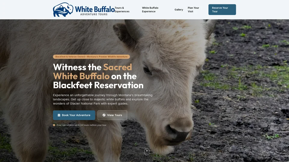 Homepage snapshot at launch