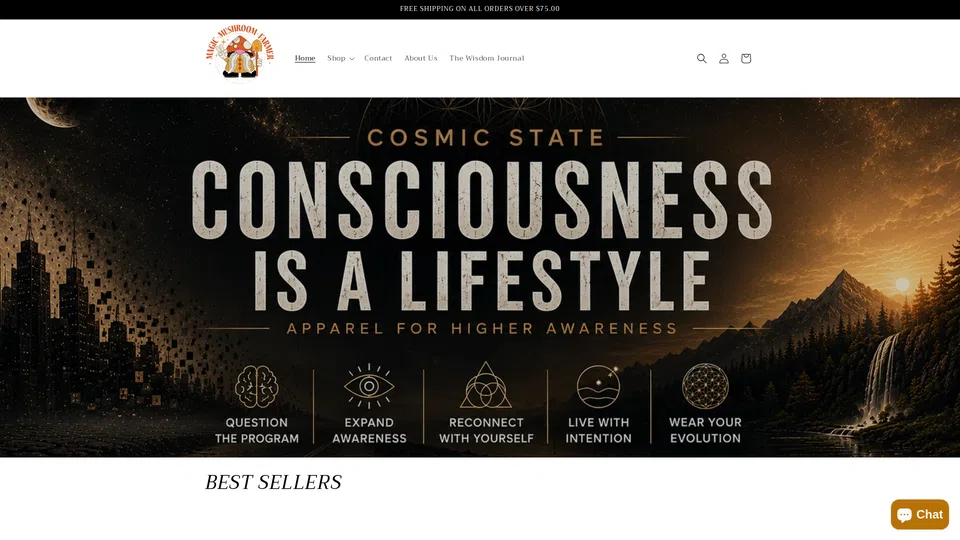 Homepage snapshot at launch