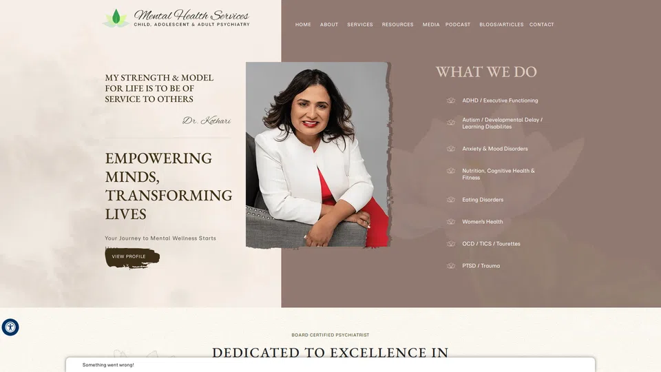 Homepage snapshot at launch