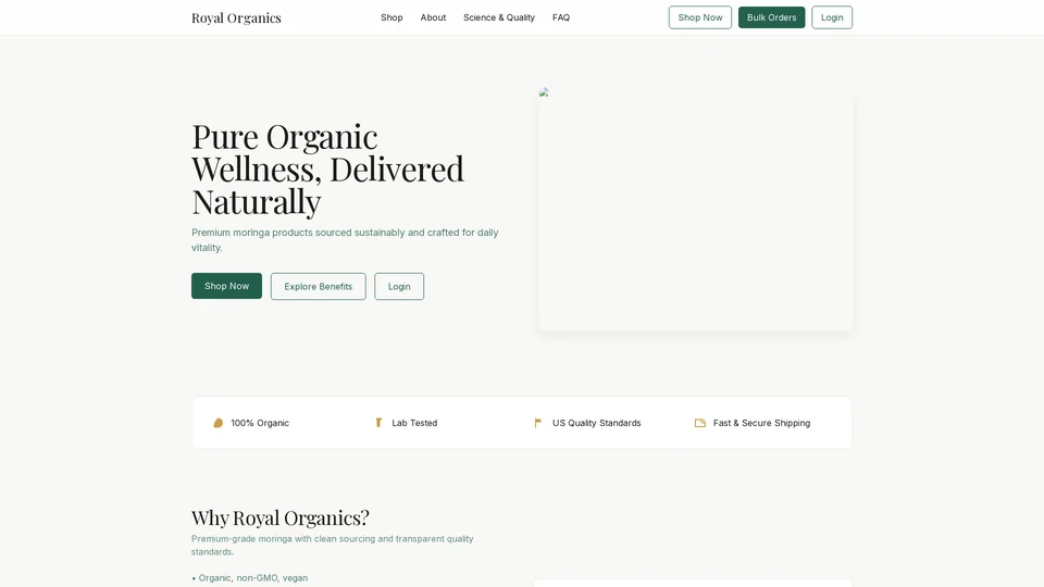 Homepage snapshot at launch