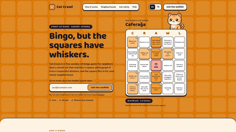 Homepage snapshot at launch