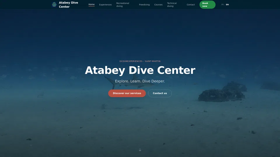 Homepage snapshot at launch