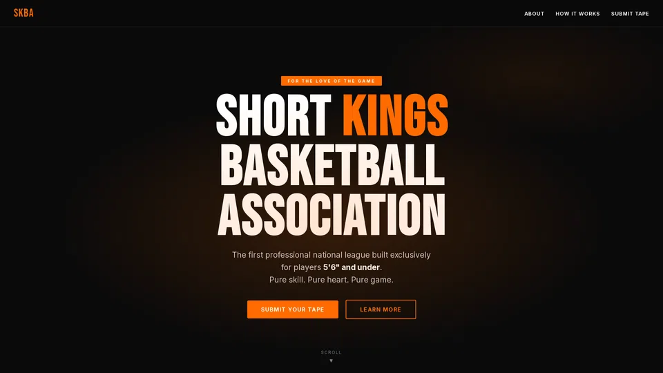 Homepage snapshot at launch