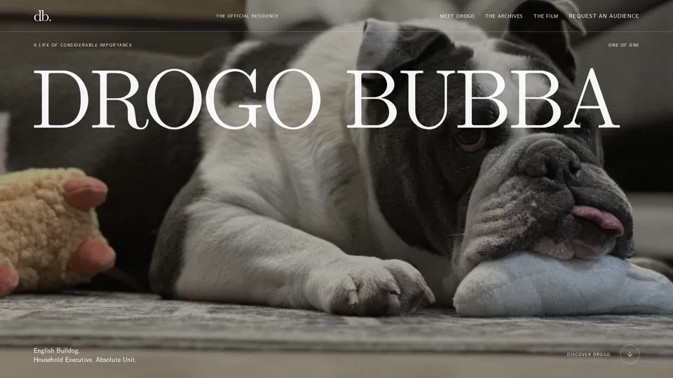 Homepage snapshot at launch