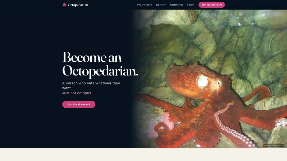 Homepage snapshot at launch