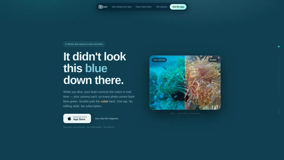 Homepage snapshot at launch