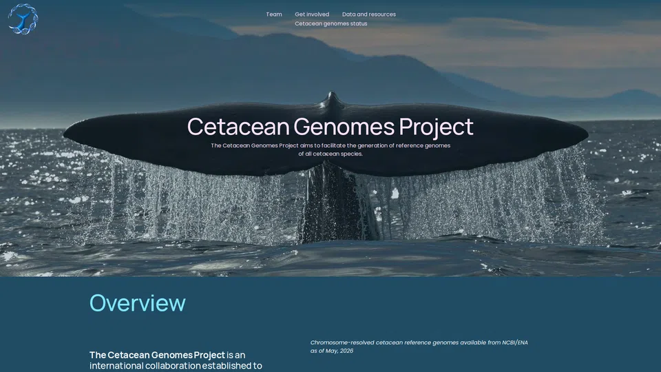 Homepage snapshot at launch