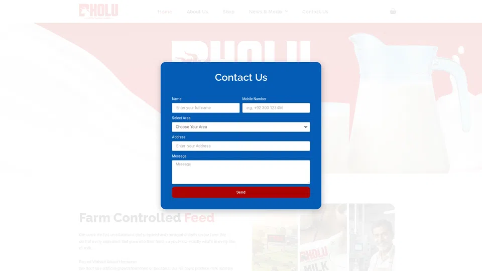 Homepage snapshot at launch