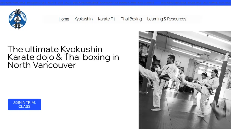 Homepage snapshot at launch