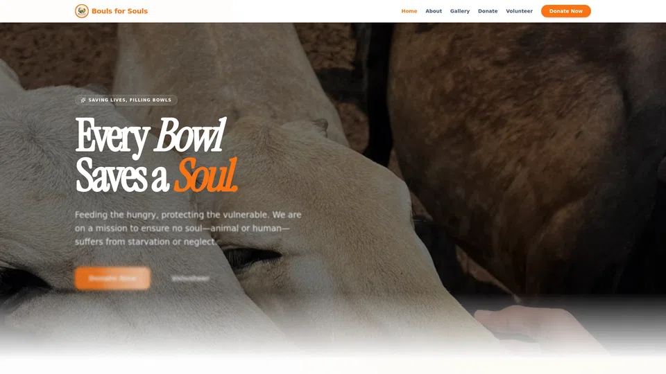 Homepage snapshot at launch