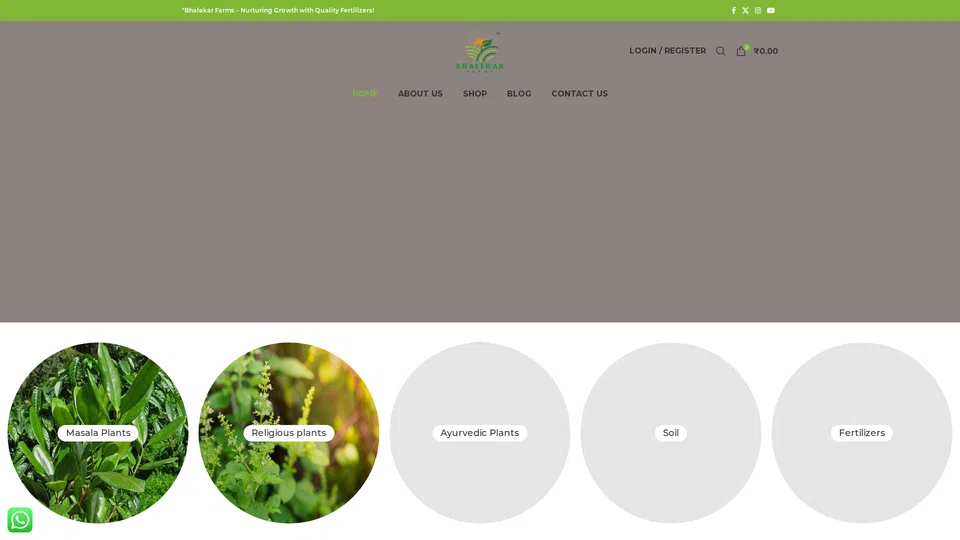 Homepage snapshot at launch